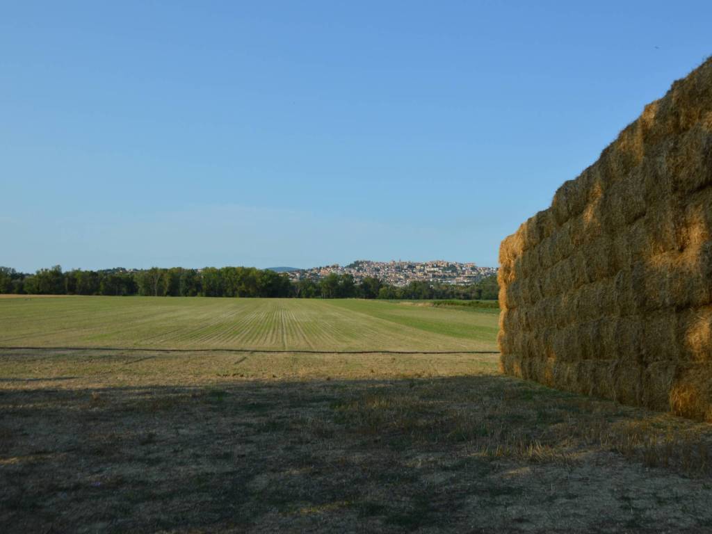 terreno agricolo in vendita a Recanati