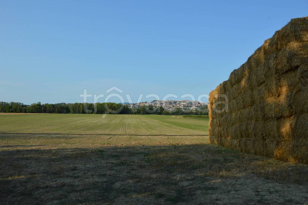 terreno agricolo in vendita a Recanati