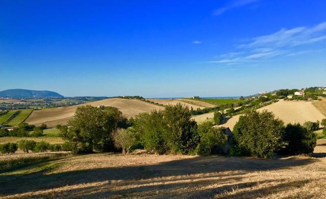 terreno agricolo in vendita a Recanati