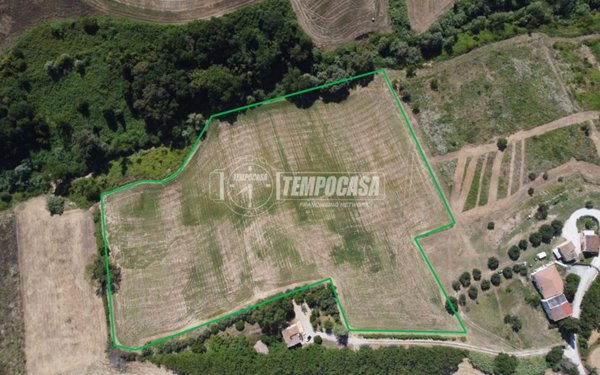 terreno agricolo in vendita a Recanati