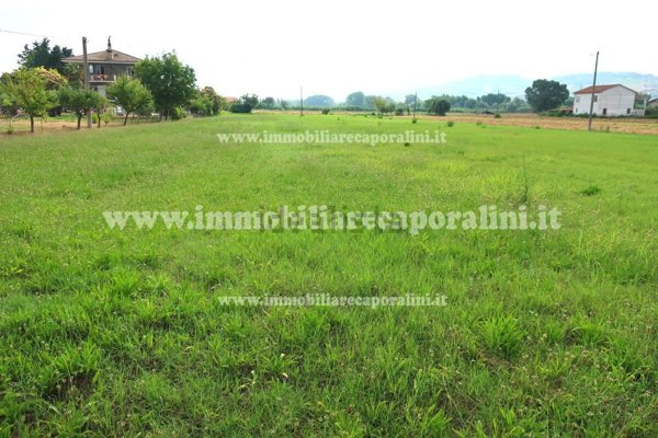 terreno agricolo in vendita a Recanati