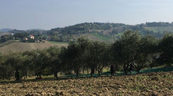 terreno edificabile in vendita a Recanati
