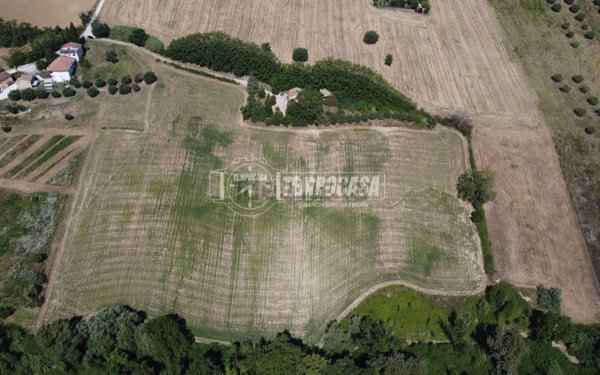 terreno agricolo in vendita a Recanati