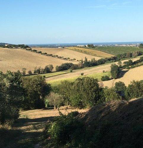 terreno agricolo in vendita a Recanati