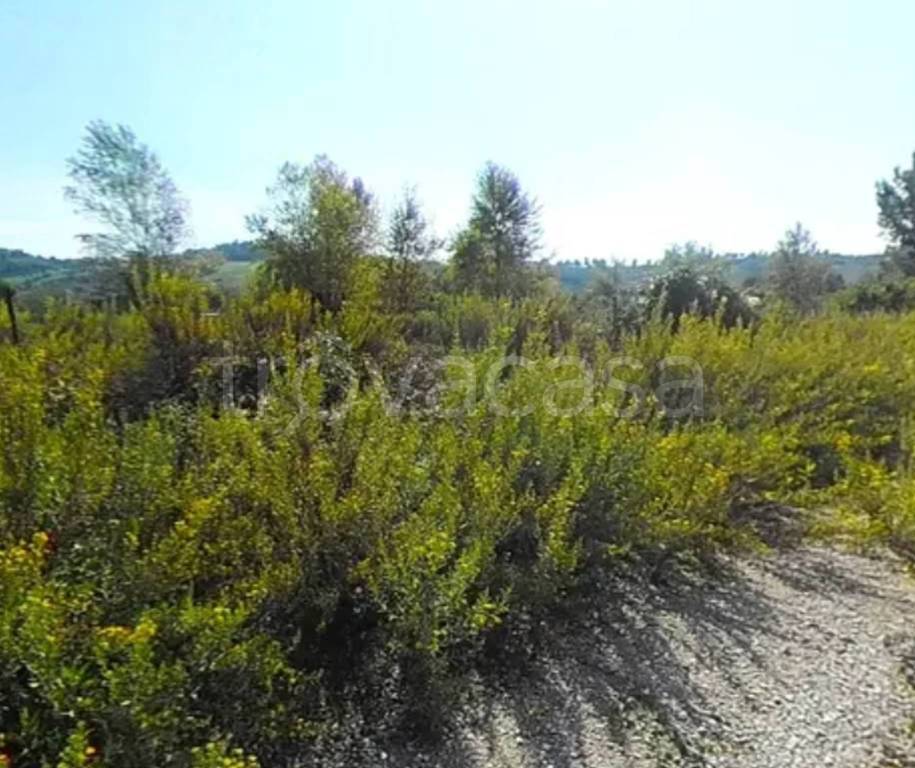 terreno edificabile in vendita a Recanati