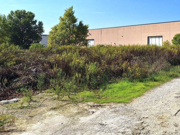 terreno agricolo in vendita a Recanati