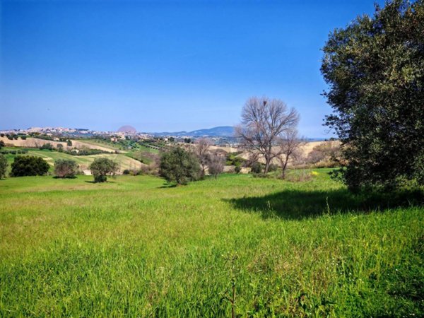 terreno agricolo in vendita a Recanati