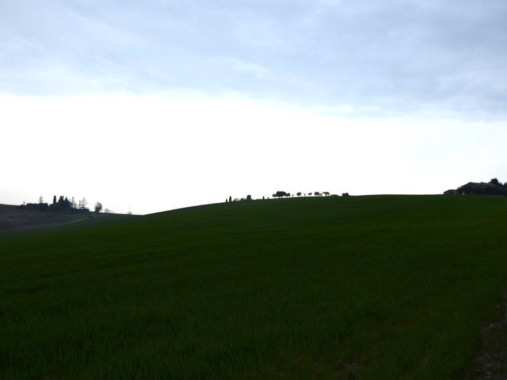 terreno agricolo in vendita a Recanati