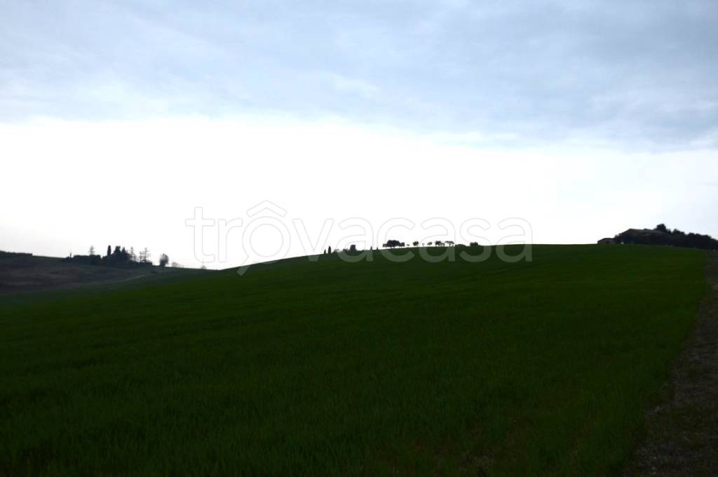terreno agricolo in vendita a Recanati