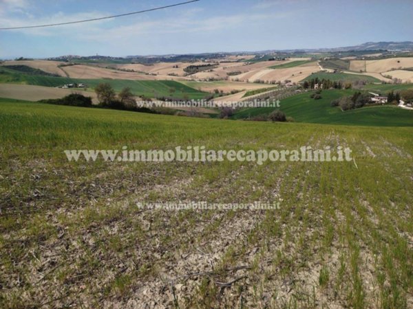 terreno agricolo in vendita a Recanati