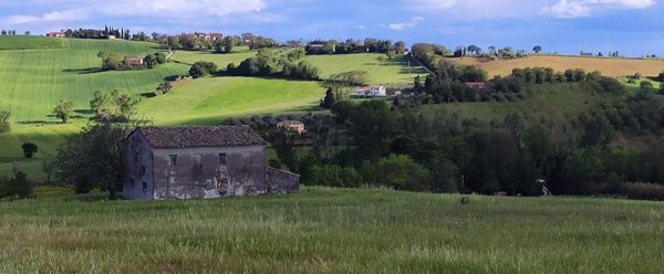 quadrivano in vendita a Recanati in zona Bagnolo