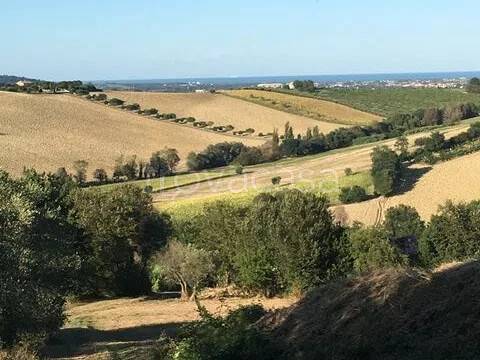 terreno agricolo in vendita a Recanati