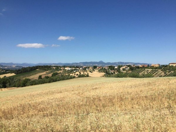 terreno agricolo in vendita a Recanati in zona Montefiore