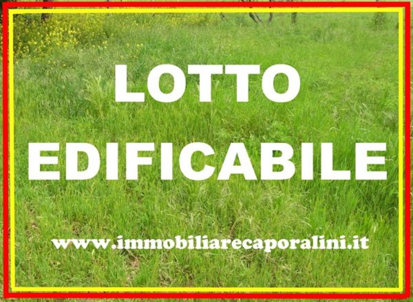 terreno agricolo in vendita a Recanati