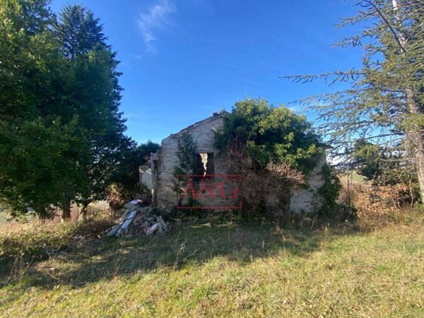 casa indipendente in vendita a Ripe San Ginesio