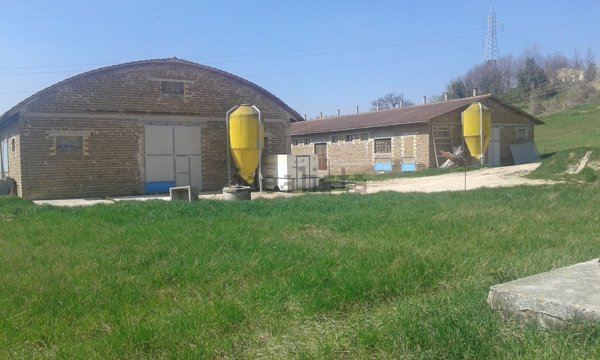 casa indipendente in vendita a Ripe San Ginesio