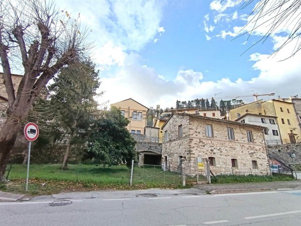 esavano in vendita a San Severino Marche