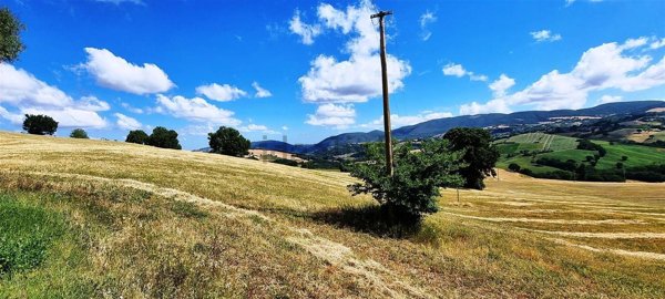 azienda agricola in vendita a San Severino Marche