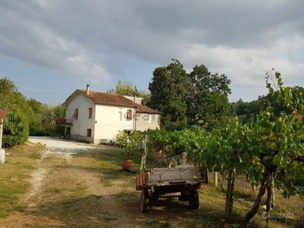 pentavano in vendita a San Severino Marche