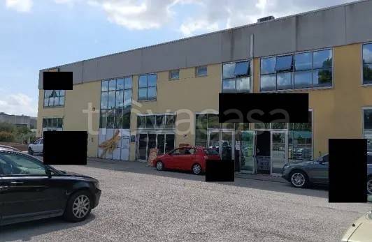 appartamento in vendita a San Severino Marche