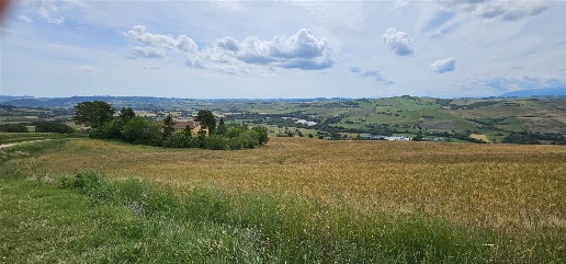 appartamento in vendita a San Severino Marche