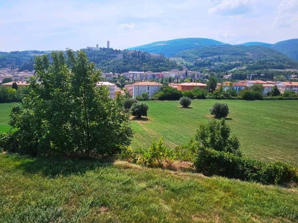 terreno agricolo in vendita a San Severino Marche