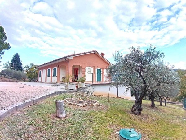 esavano in vendita a San Severino Marche