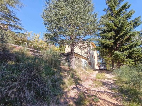 immagine annuncio 0 di 1