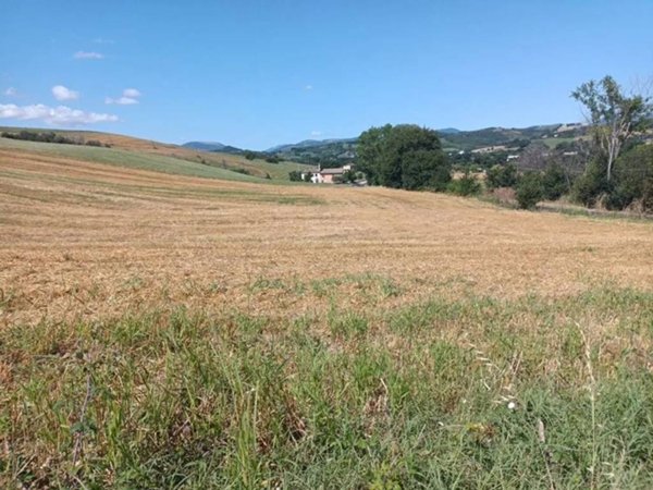 terreno agricolo in vendita a San Severino Marche