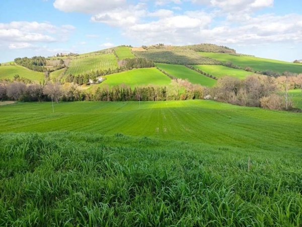 terreno agricolo in vendita a San Severino Marche