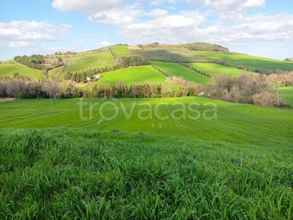 terreno agricolo in vendita a San Severino Marche