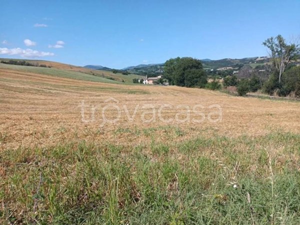 terreno agricolo in vendita a San Severino Marche