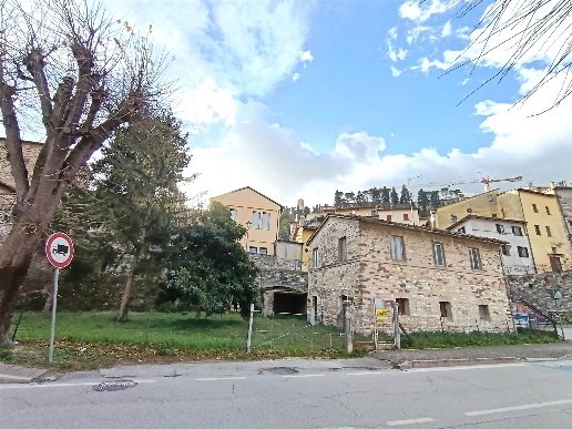 esavano in vendita a San Severino Marche