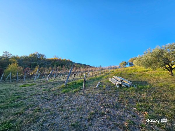 terreno agricolo in vendita a San Severino Marche in zona Colleluce