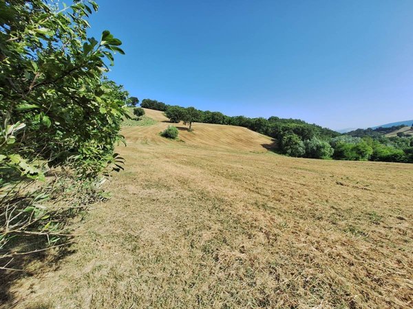 terreno agricolo in vendita a San Severino Marche