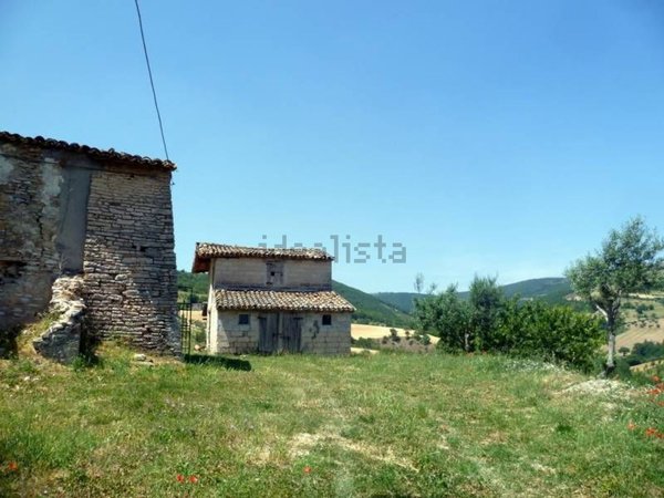 esavano in vendita a San Severino Marche