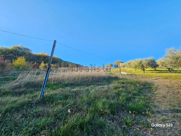 terreno agricolo in vendita a San Severino Marche in zona Colleluce