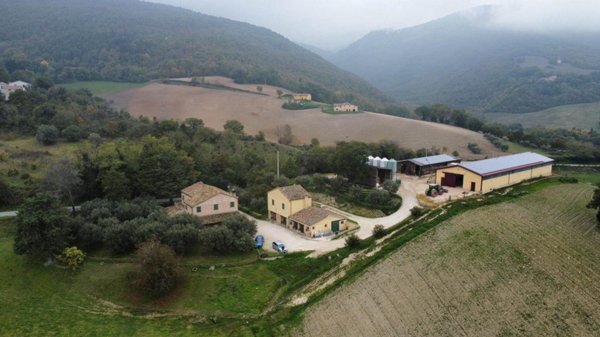 azienda agricola in vendita a San Severino Marche in zona Elcito