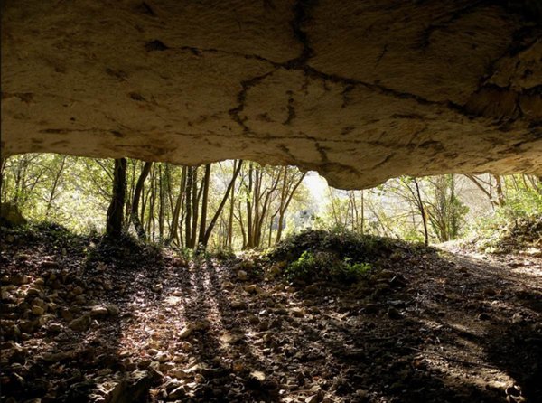 terreno agricolo in vendita a San Severino Marche