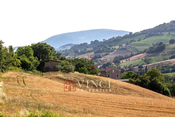 esavano in vendita a Sant'Angelo in Pontano