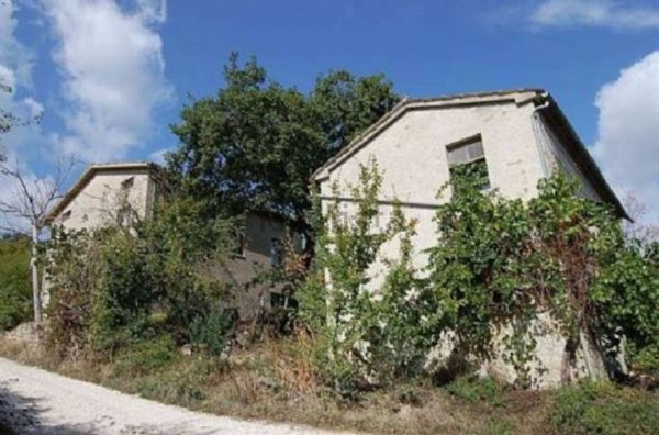 esavano in vendita a Sarnano