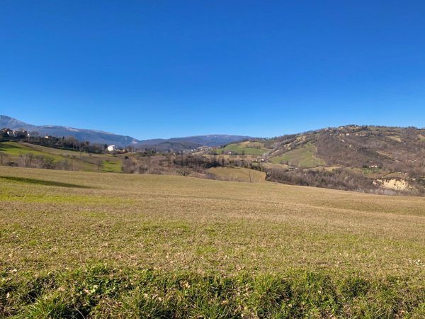 azienda agricola in vendita a Sarnano