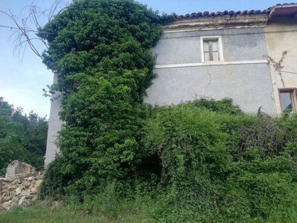 esavano in vendita a Sarnano