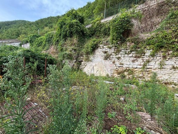 terreno agricolo in vendita a Sefro