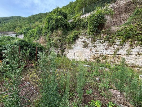terreno agricolo in vendita a Sefro