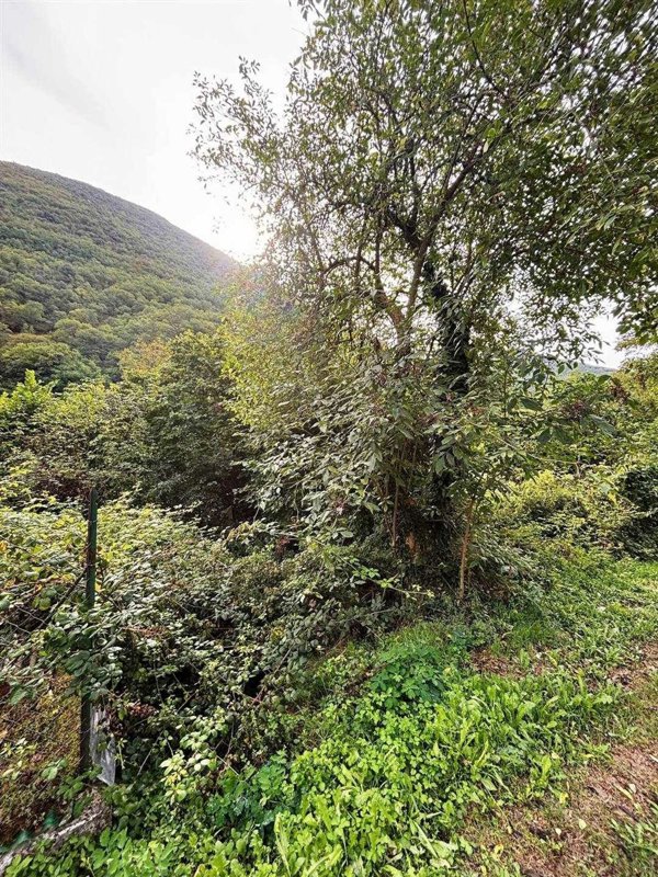 terreno edificabile in vendita a Sefro