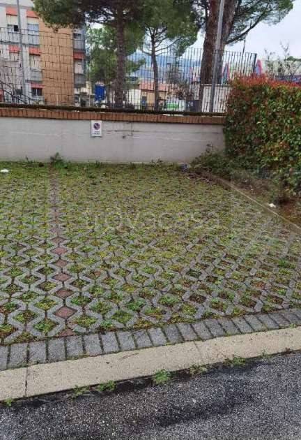 appartamento in vendita a Tolentino