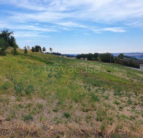 terreno agricolo in vendita a Tolentino in zona San Giovanni