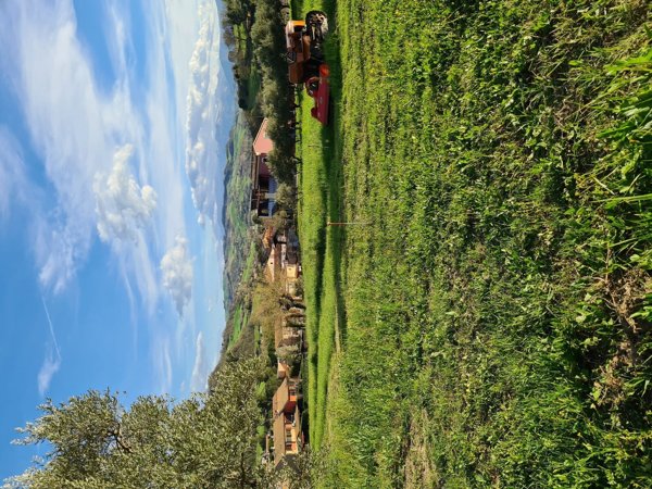 negozio in vendita a Tolentino