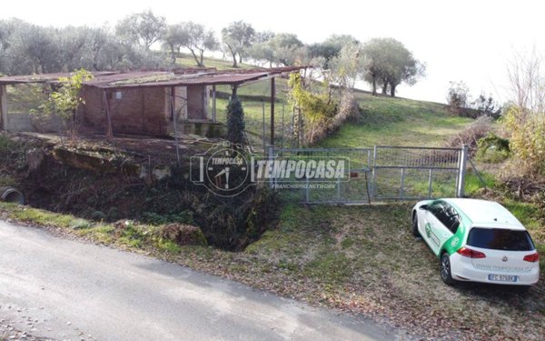 azienda agricola in vendita a Tolentino in zona Divina Pastora